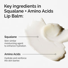 Squalane + Amino Acids Lip Balm