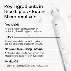 Rice Lipids + Ectoin Microemulsion